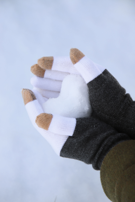 Pierre Touch Gloves